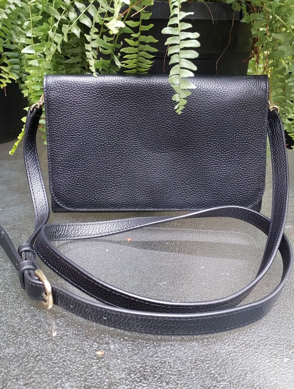 Pebbled Leather And Goldtone Crossbody Or Wallet